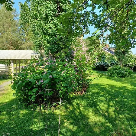 Countryside Next To Center