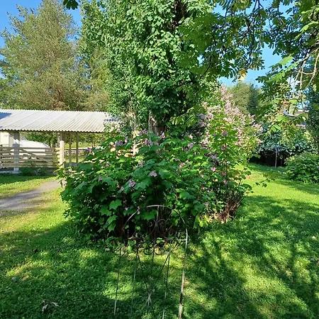 Countryside Next To Center 招待所 凯米